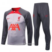 Sueter de Treinamento Liverpool 22/23 Cinza