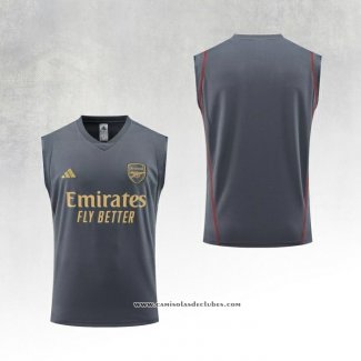 Camisola de Treinamento Arsenal 23/24 Sin Mangas Cinza